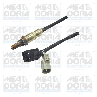 Oxygen Sensor